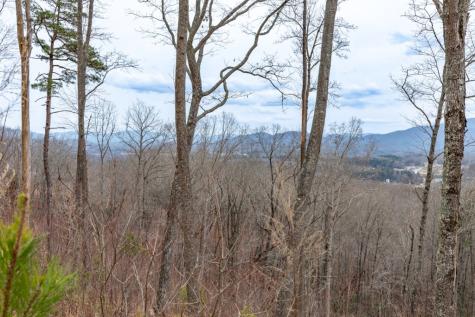 Lot 133 Blackburn Way Blairsville GA 30512