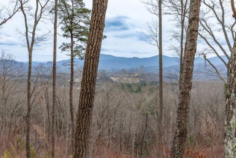 Lot 133 Blackburn Way Blairsville GA 30512