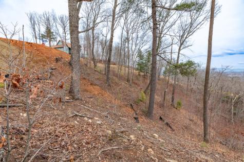 Lot 133 Blackburn Way Blairsville GA 30512