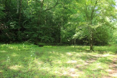 Lots 5,6 Slate Stone Hayesville NC 28904