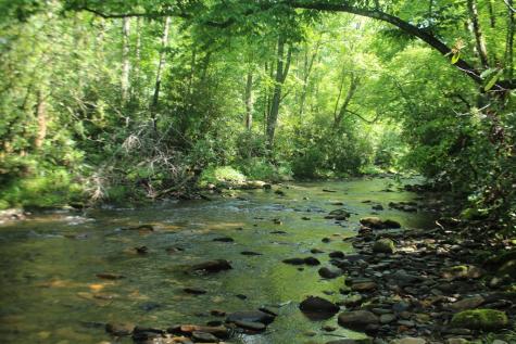 Lots 5,6 Slate Stone Hayesville NC 28904