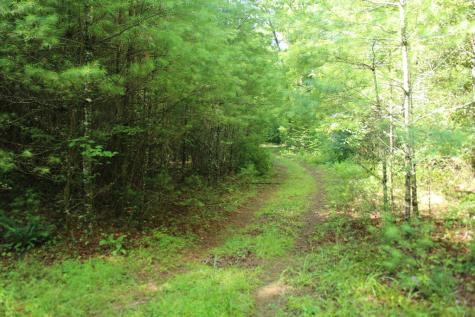 Lots 5,6 Slate Stone Hayesville NC 28904