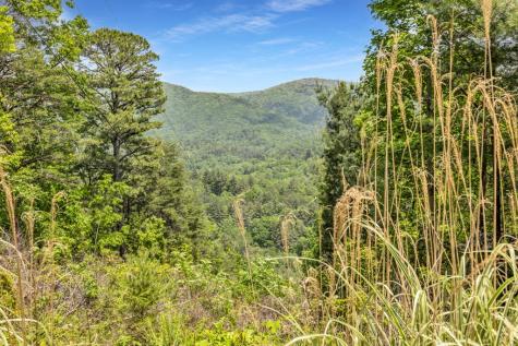 376 Eagles Rest Blairsville GA 30512