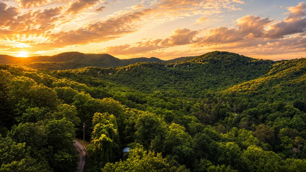 5.58 Gobbler Knob Drive Ellijay GA 30540
