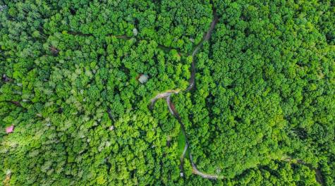5.58 Gobbler Knob Drive Ellijay GA 30540