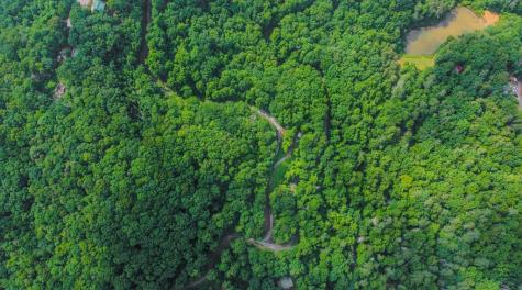 5.58 Gobbler Knob Drive Ellijay GA 30540