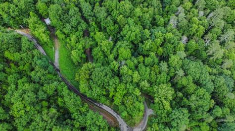 5.58 Gobbler Knob Drive Ellijay GA 30540