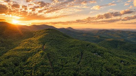 5.58 Gobbler Knob Drive Ellijay GA 30540