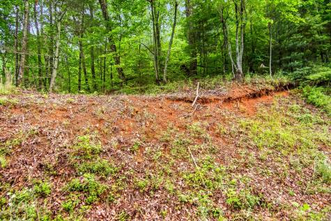 5.58 Gobbler Knob Drive Ellijay GA 30540