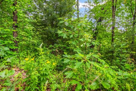 5.58 Gobbler Knob Drive Ellijay GA 30540