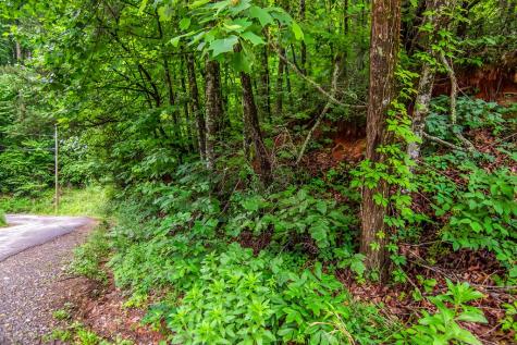 5.58 Gobbler Knob Drive Ellijay GA 30540