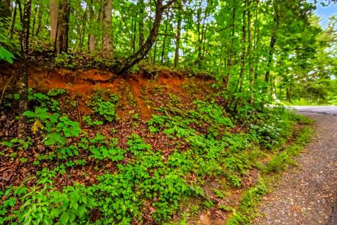 5.58 Gobbler Knob Drive Ellijay GA 30540