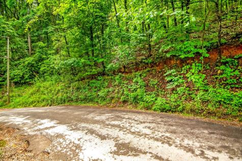 5.58 Gobbler Knob Drive Ellijay GA 30540