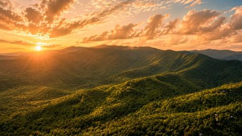 5.58 Gobbler Knob Drive Ellijay GA 30540
