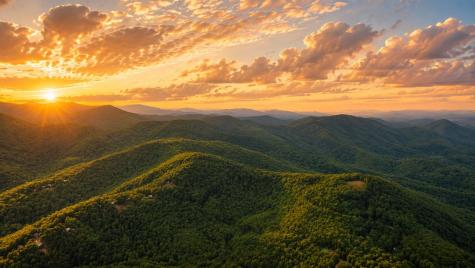 5.58 Gobbler Knob Drive Ellijay GA 30540