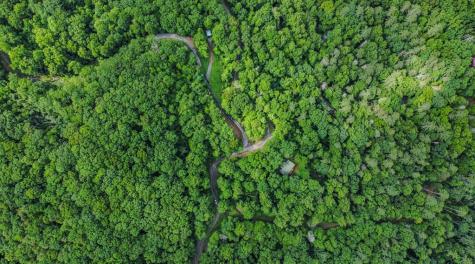 5.58 Gobbler Knob Drive Ellijay GA 30540