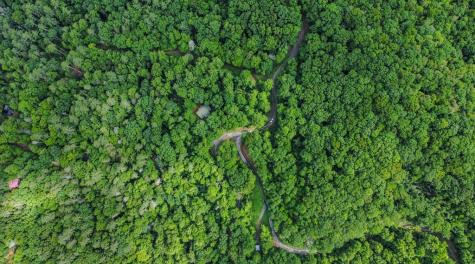 5.58 Gobbler Knob Drive Ellijay GA 30540