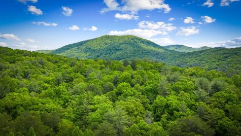 0 Morganton Highway Suches GA 30572