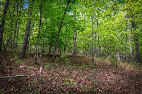 0 Morganton Highway Suches GA 30572