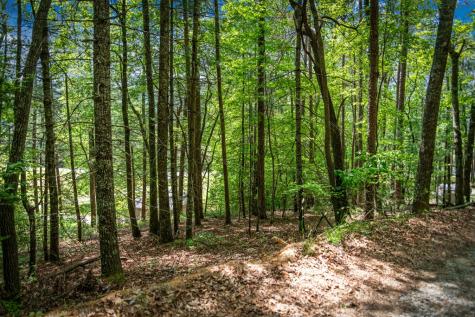 0 Morganton Highway Suches GA 30572