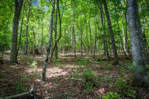 0 Morganton Highway Suches GA 30572