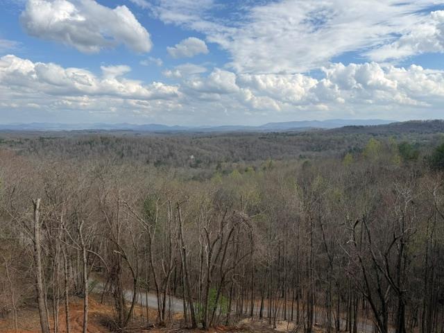 LT40 Lookout Drive Blue Ridge GA 30015