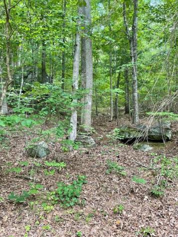 11 Lonesome Pine Road Murphy NC 28906