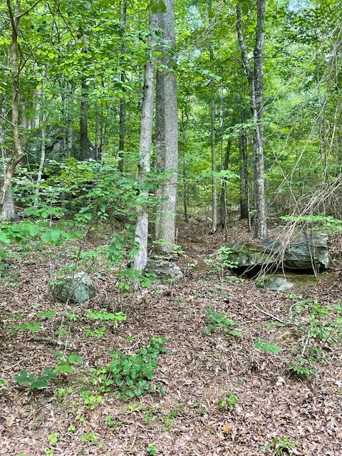 11 Lonesome Pine Road Murphy NC 28906