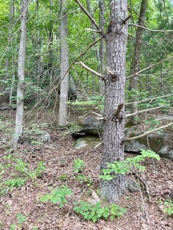 11 Lonesome Pine Road Murphy NC 28906