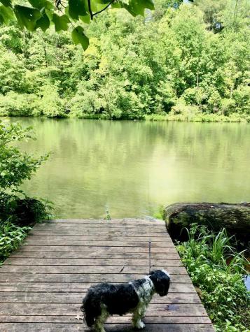 Lot 30a Trillium Heights Hayesville NC 28904