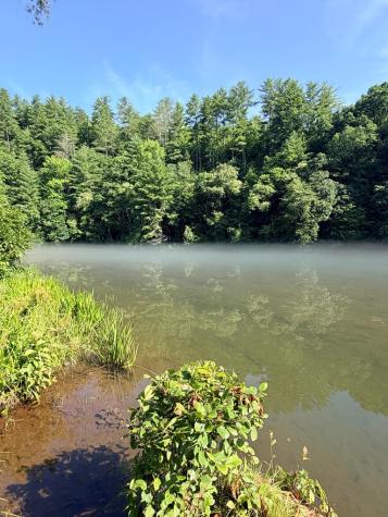 Lot 30a Trillium Heights Hayesville NC 28904