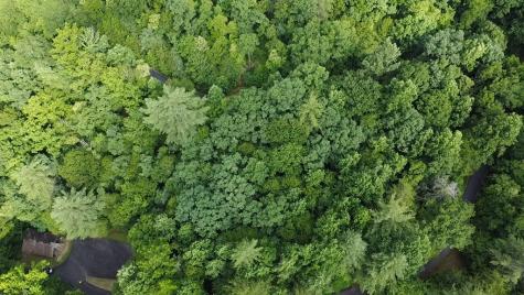 Lot 30a Trillium Heights Hayesville NC 28904