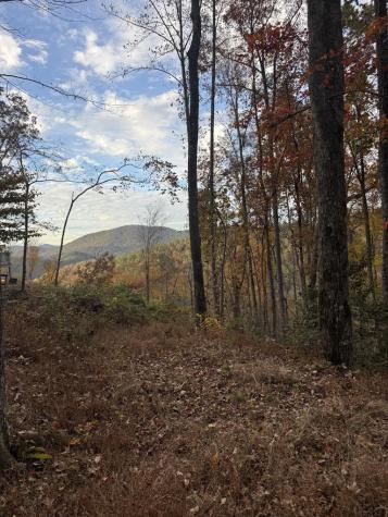 306 Northside Mountain Road Suches GA 30572