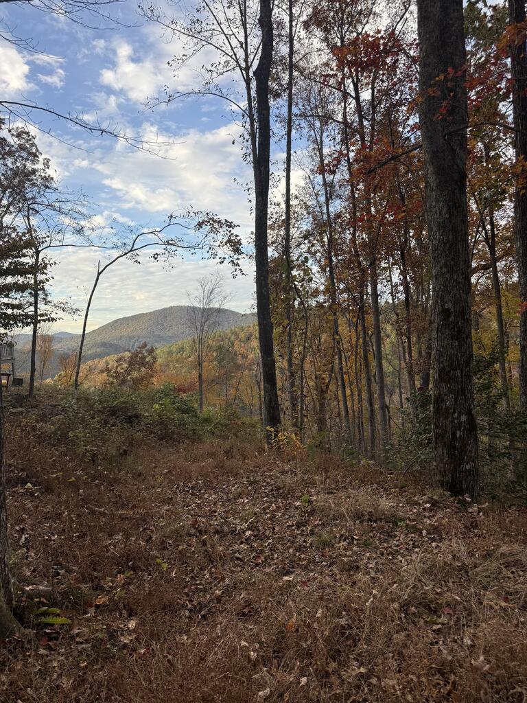 306 Northside Mountain Road Suches GA 30572