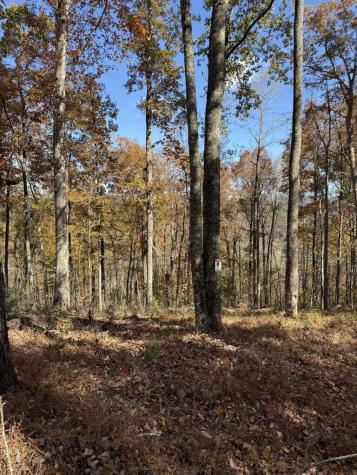 306 Northside Mountain Road Suches GA 30572
