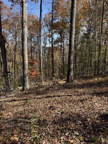 306 Northside Mountain Road Suches GA 30572