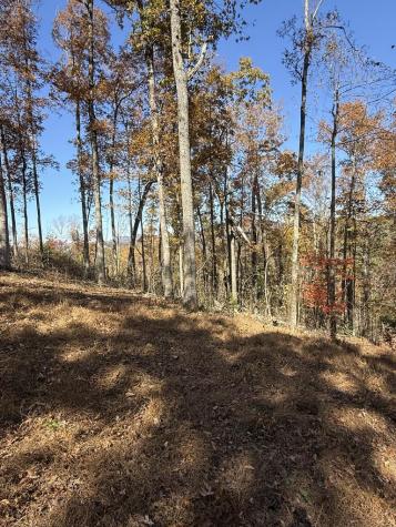 306 Northside Mountain Road Suches GA 30572