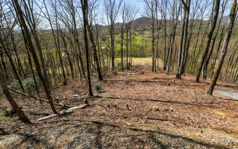 17m Ridges Overlook Hayesville NC 28904