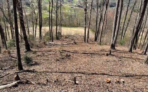 17m Ridges Overlook Hayesville NC 28904