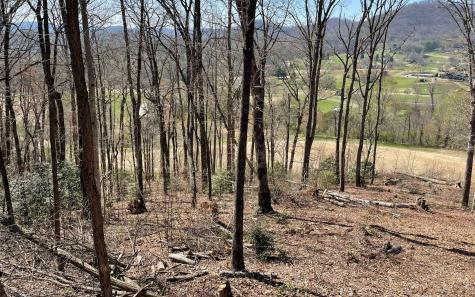 17m Ridges Overlook Hayesville NC 28904