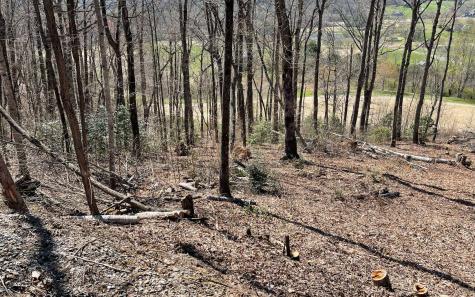 17m Ridges Overlook Hayesville NC 28904