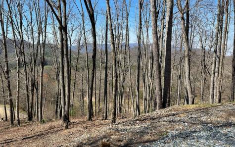 17m Ridges Overlook Hayesville NC 28904
