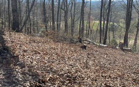 17m Ridges Overlook Hayesville NC 28904