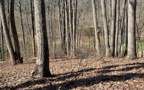 17m Ridges Overlook Hayesville NC 28904