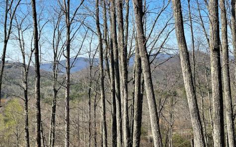 17m Ridges Overlook Hayesville NC 28904