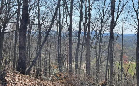 17m Ridges Overlook Hayesville NC 28904