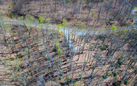 17m Ridges Overlook Hayesville NC 28904