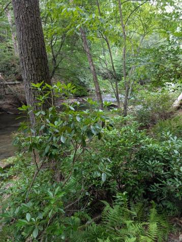 Lot 32 Byers Road Blairsville GA 30512