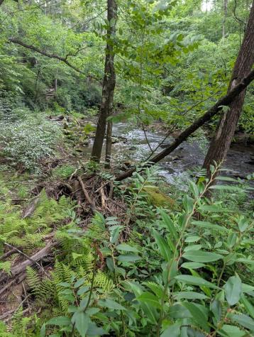 Lot 32 Byers Road Blairsville GA 30512