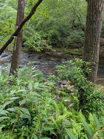 Lot 32 Byers Road Blairsville GA 30512